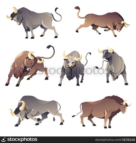 Aggressive wild animals front, back view and profile. Isolated corrida ...