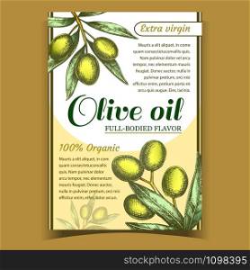 Agricultural Fresh Olive Tree Branch Poster Vector. Leaves And Organic Full-Bodied Flavor Olive Extra Virgin Oil Ingredient For Salad. Designed Template Colorful Banner Illustration. Agricultural Fresh Olive Tree Branch Poster Vector