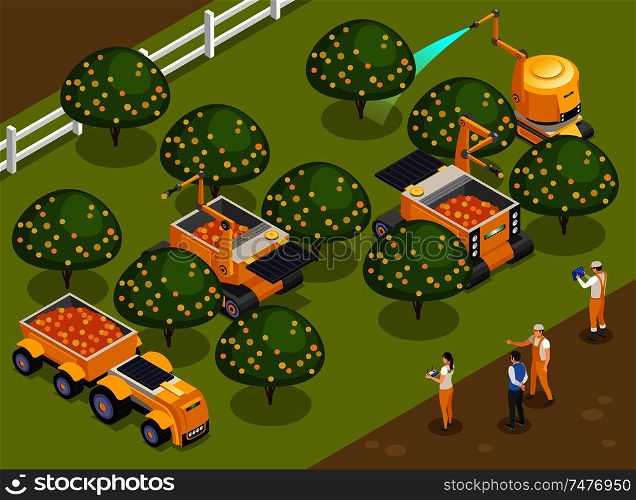 Agricultural robots orchard harvesting isometric composition with automated machinery picking fruits and watering trees vector illustration