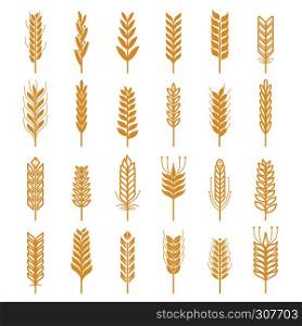 Agricultural vector icons set. Nature pictures of wheat. Agriculture organic golden wheat for food illustration. Agricultural vector icons set. Nature pictures of wheat