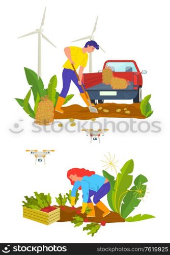 Agricultural workers planting beet and potato, vegetables in bag and box. Man and woman gardeners, car and windmill, quadcopter equipments, farm vector. People with Potato and Beet, Vegetable Vector