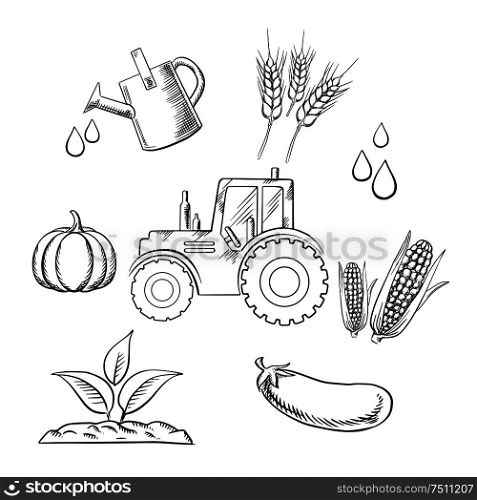 Agriculture and farm sketched objects with tractor water, watering can, plant, pumpkin, cereal ears, corn cob and eggplant. Vector sketch style. Agriculture and farm sketched objects