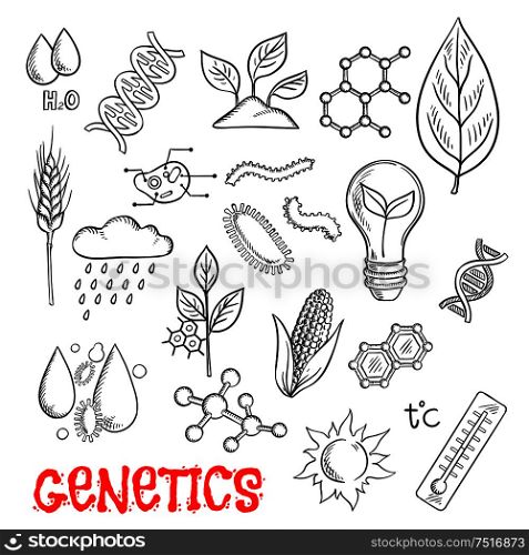 Agriculture and genetic technology sketch with symbols of corn, wheat and seedlings, models of DNA and molecules, plant cell structure, pests, chemical formulas, control of weather and temperature impacts . Agriculture and genetic technology sketch icons