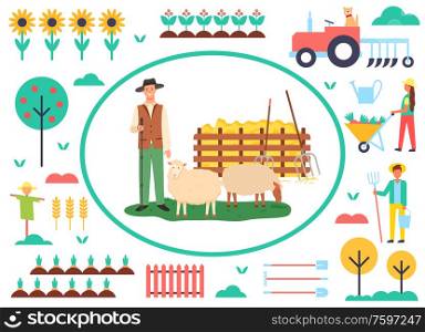 Agriculture and husbandry vector, person with sheep caring for animals on farm, scarecrow and plantation of sunflowers in bloom, tractor and farmers. Farming Man with Sheep, Agriculture and Animal