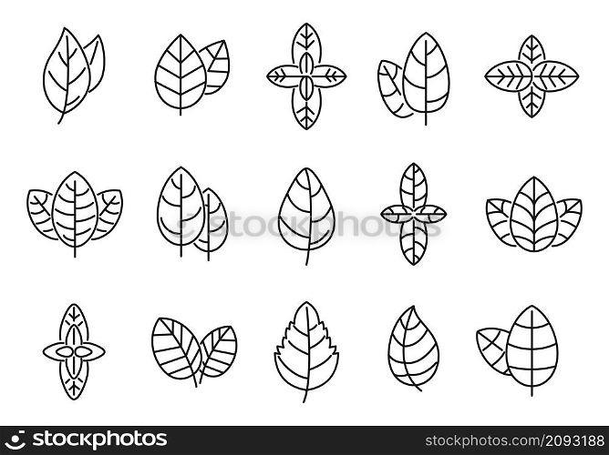 Agriculture basil icons set outline vector. Aroma leaf. Aromatic healthcare. Agriculture basil icons set outline vector. Aroma leaf