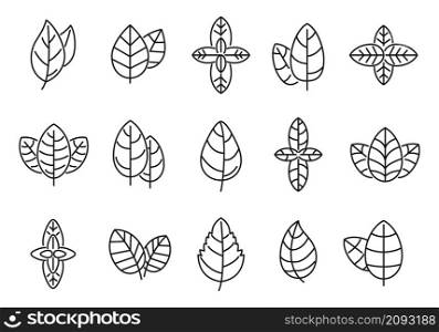Agriculture basil icons set outline vector. Aroma leaf. Aromatic healthcare. Agriculture basil icons set outline vector. Aroma leaf