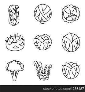 Agriculture cabbage icons set. Outline set of agriculture cabbage vector icons for web design isolated on white background. Agriculture cabbage icons set, outline style