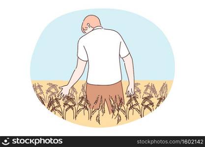 Agriculture, farming, harvesting concept. Young man or boy agronomist farmer cartoon character standing in farmland golden wheat field holding rye ear. Barley or grain agricultural harvest season.. Agriculture, farming, harvesting concept