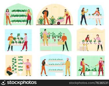 Agriculture flat composition set with men and women looking after greenhouse plants isolated vector illustration