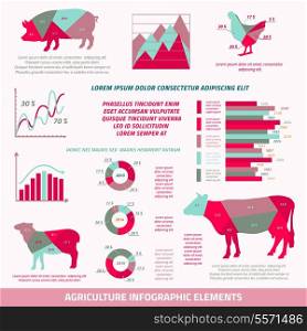 Agriculture infographics flat design elements of livestock chicken cow pig sheep and chart vector illustration