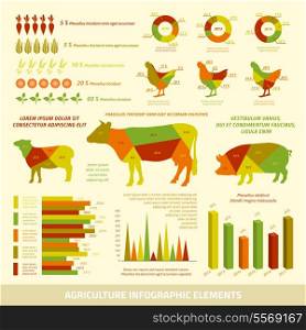 Agriculture infographics flat design elements of livestock chickens and crops vector illustration