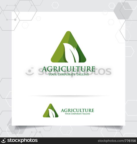 Agriculture logo design with concept of letters A icon and leaves vector. Green nature logo used for agricultural systems, farmer, and plantation products.