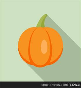 Agriculture pumpkin icon. Flat illustration of agriculture pumpkin vector icon for web design. Agriculture pumpkin icon, flat style