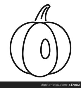 Agriculture pumpkin icon. Outline agriculture pumpkin vector icon for web design isolated on white background. Agriculture pumpkin icon, outline style