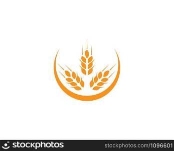 Agriculture wheat illustration Template vector design