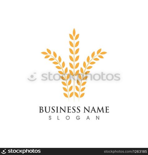 Agriculture wheat logo and symbol vector