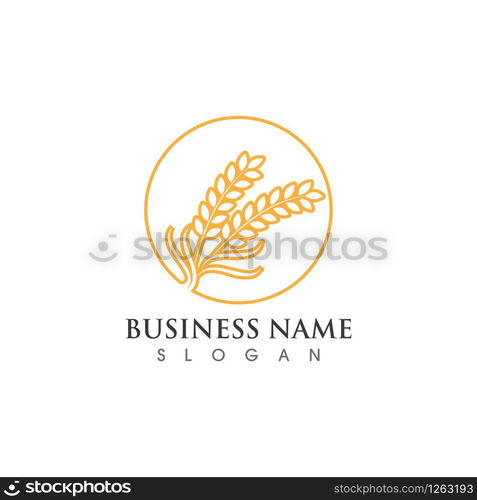 Agriculture wheat logo and symbol vector