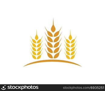 Agriculture wheat Logo Template. Agriculture wheat Logo Template vector icon design