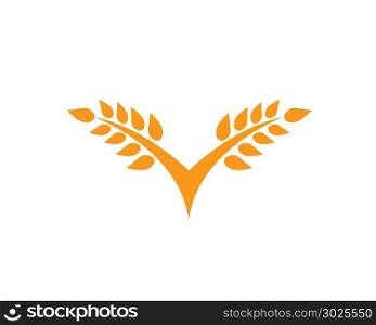 Agriculture wheat Logo Template,healthy life logo vector icon design,