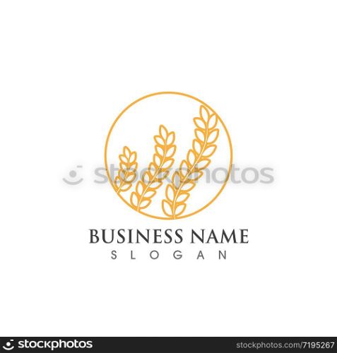 Agriculture wheat Logo Template,healthy life logo vector icon design