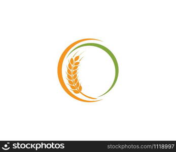 Agriculture wheat Logo Template vector