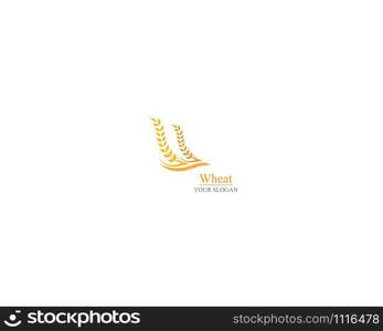 Agriculture wheat Logo Template vector icon design