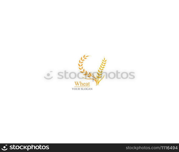 Agriculture wheat Logo Template vector icon design