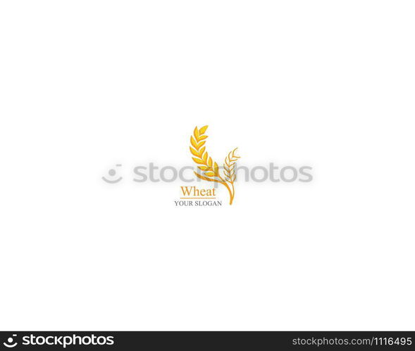 Agriculture wheat Logo Template vector icon design