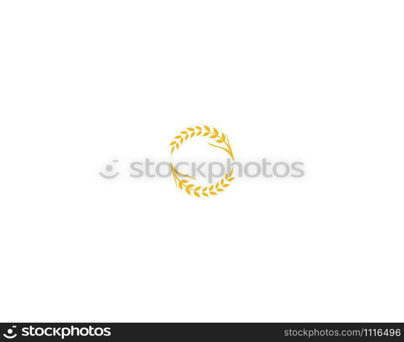 Agriculture wheat Logo Template vector icon design