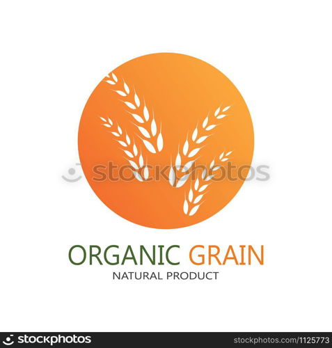 Agriculture wheat Logo Template vector icon design