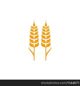 Agriculture wheat Logo Template vector icon design