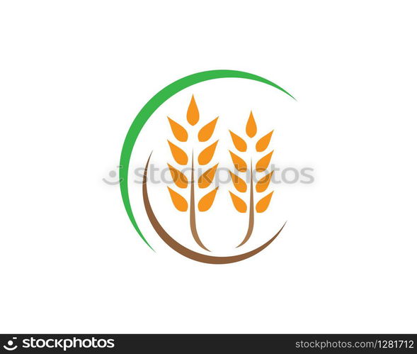 Agriculture wheat logo template vector icon design