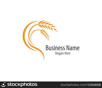 Agriculture wheat logo template vector icon design