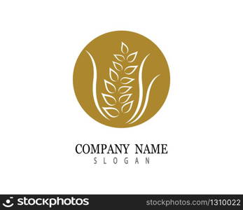 Agriculture wheat logo template vector icon design