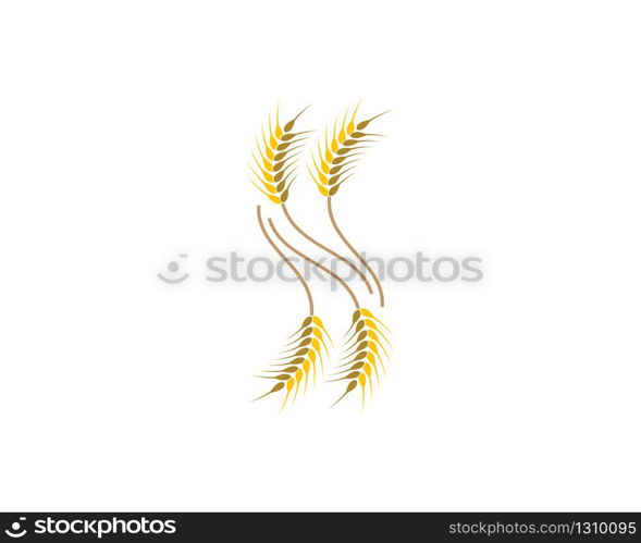 Agriculture wheat logo template vector icon design