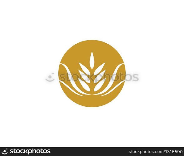 Agriculture wheat logo template vector icon design
