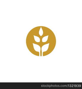 Agriculture wheat logo template vector icon design