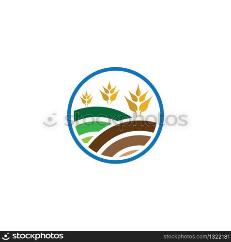 Agriculture wheat logo template vector icon design