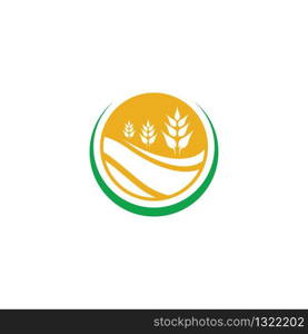 Agriculture wheat logo template vector icon design