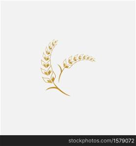 Agriculture wheat Logo Template vector icon design