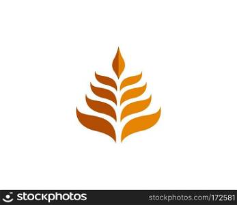 Agriculture wheat Logo Template vector icon design  