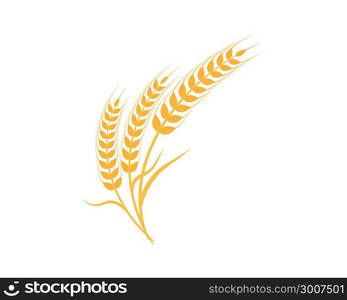 Agriculture wheat Logo Template vector icon design