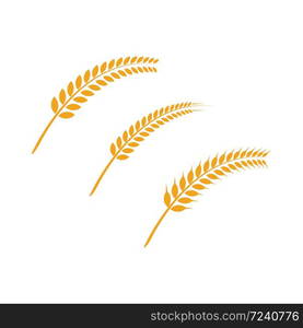 Agriculture wheat Logo Template vector icon design