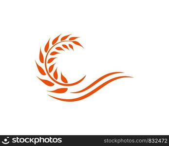 Agriculture wheat Logo Template vector icon design