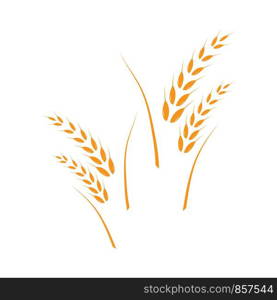 Agriculture wheat Logo Template vector icon design