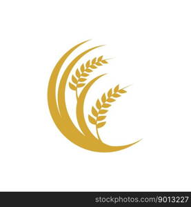 Agriculture wheat Logo Template vector icon design