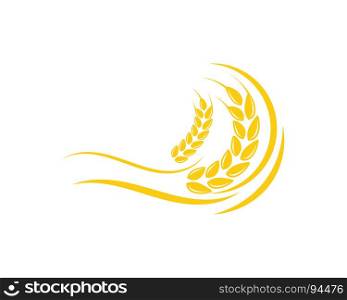 Agriculture wheat Logo Template vector icon design