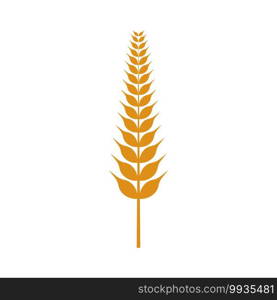 Agriculture wheat Logo Template vector icon design