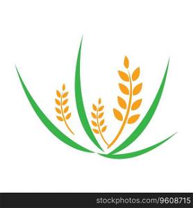 Agriculture wheat Logo Template vector icon design illustration