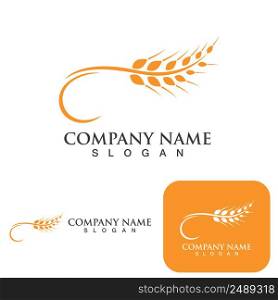 Agriculture wheat Logo vector icon design